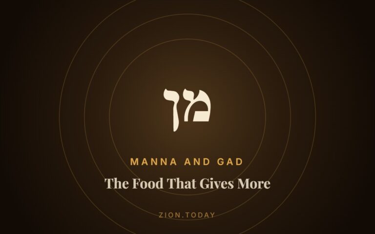 The Food That Gives More cover
