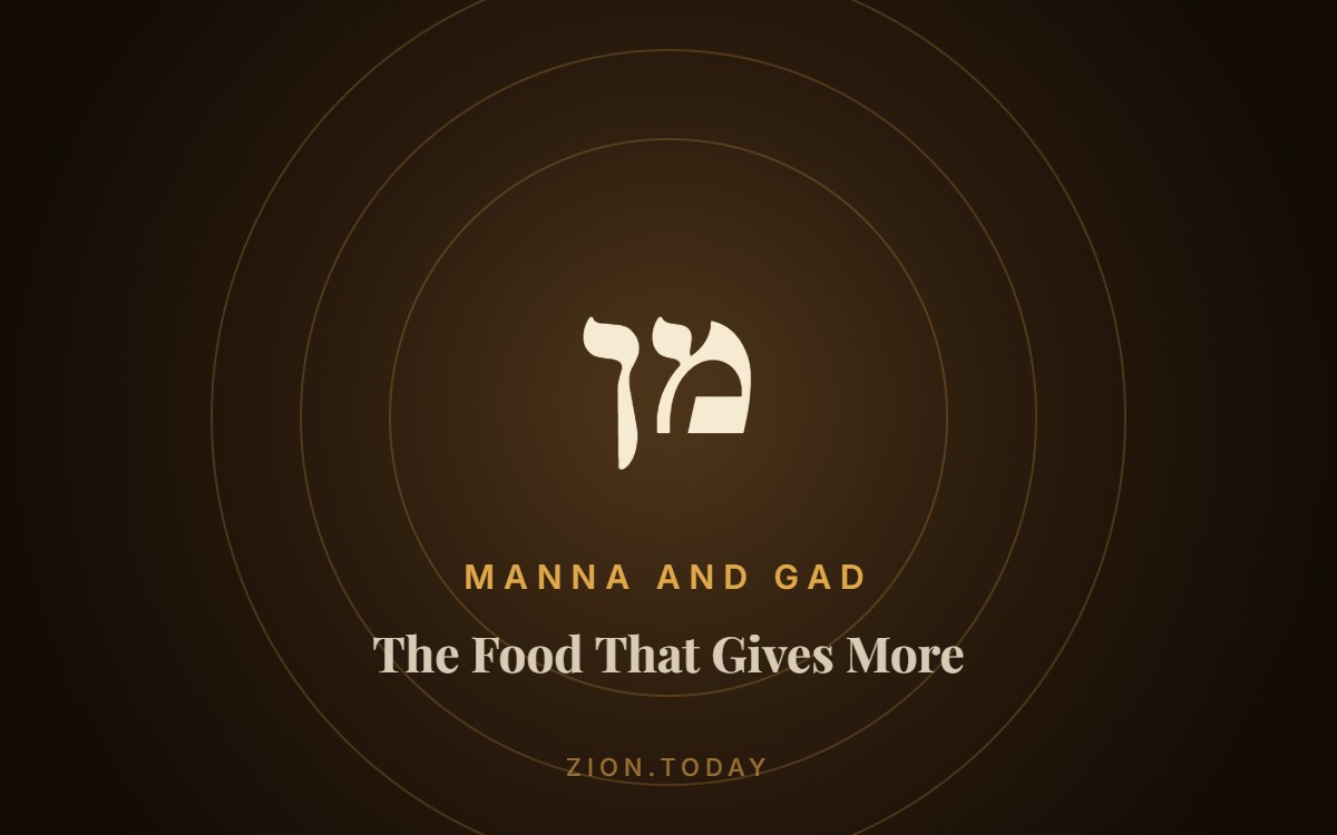 The Food That Gives More cover