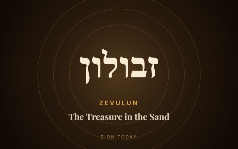 The Treasure in the Sand cover